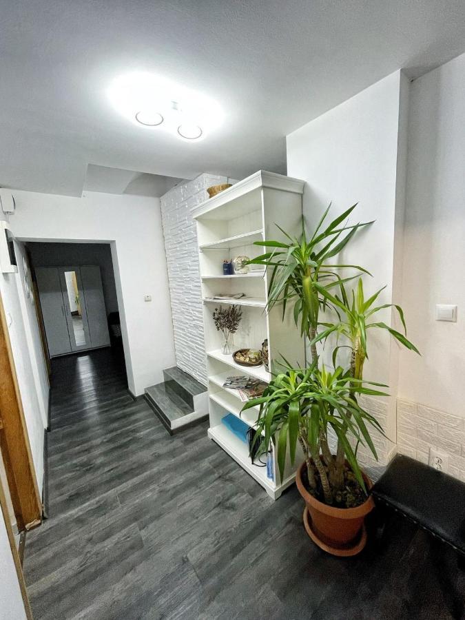 3 Cinema Garden Parking House Bucureşti